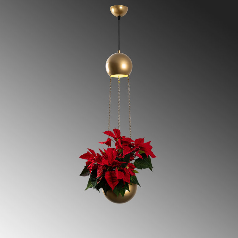 Élégant lustre doré, structure en métal, 7,9 x 7,9 x 58,3 pouces | Taille du capuchon: 6,3 po x 5,5 po, plaque de base 3,9 po x 2,4 po | Douille E27, 40 W maximum (ampoule non incluse) | Éclairage élégant pour le salon et la salle à manger