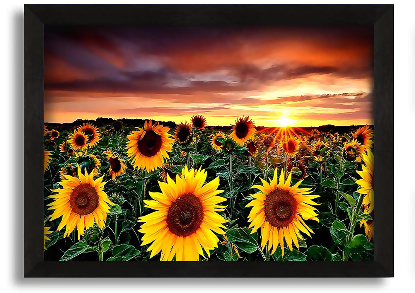 Sunflower landscape deals