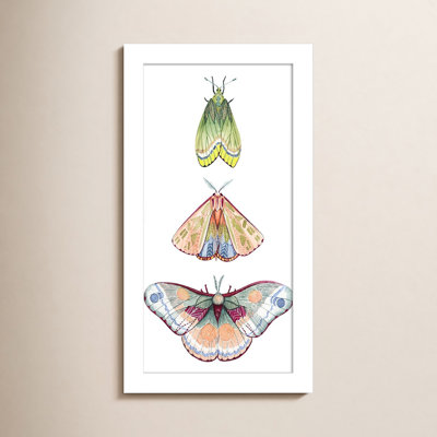 Neo Moth Fairies II par Neo