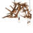 Dragelin 8 - Light Dimmable Modern Linear Chandelier