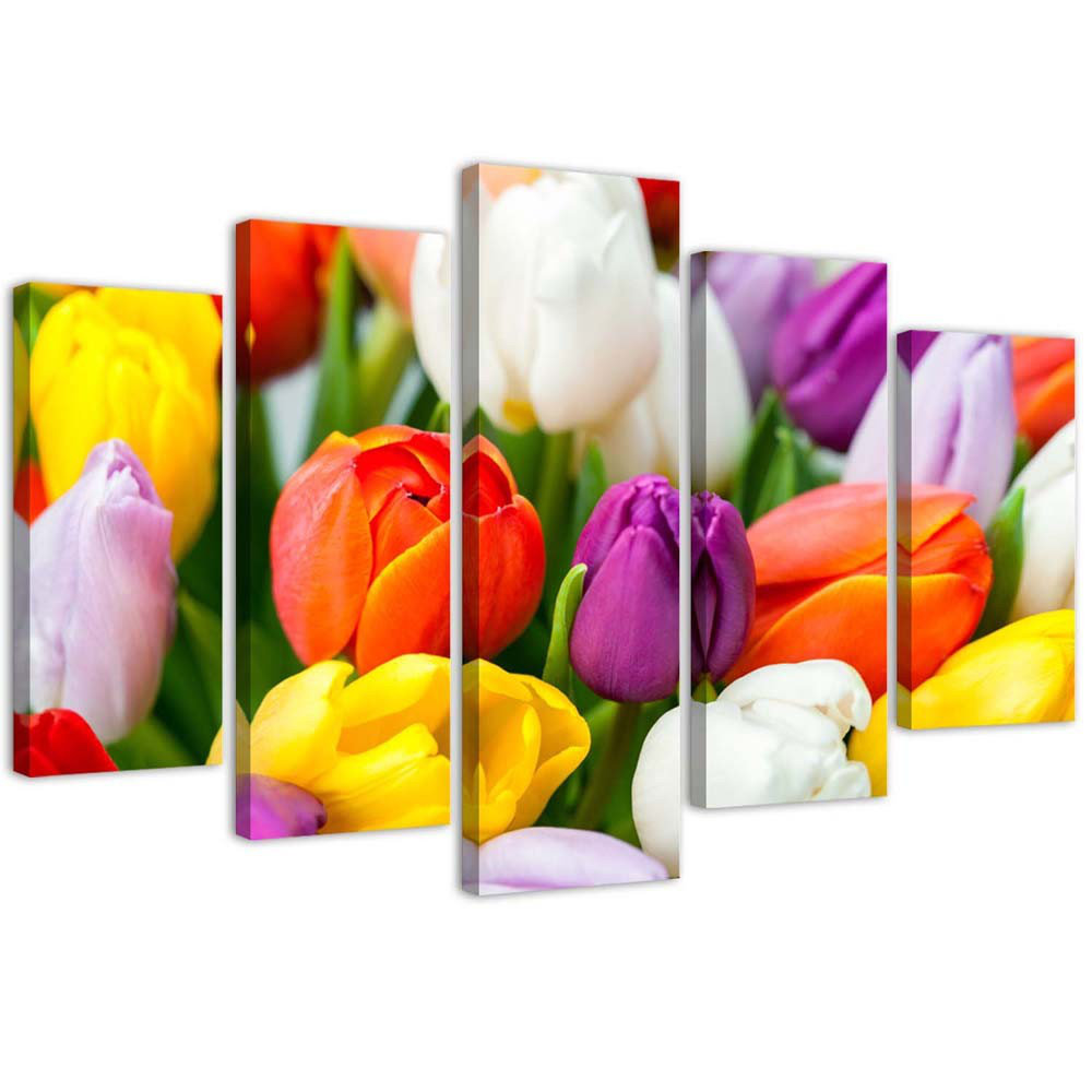 Leinwandbild 5-Teilig, Bunte Tulpen Blumen