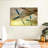 Mehar Vintage Propeller Airplane-107678385