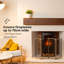 Krauss Metal Fireplace Screen