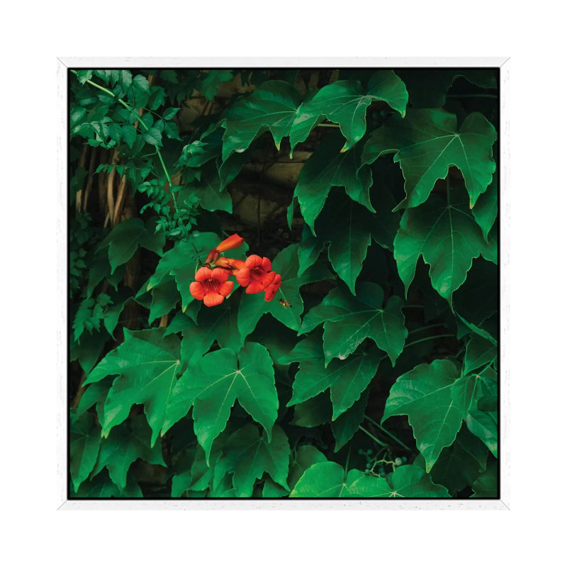 Working Bee by Bethany Young - Print on Canvas, 45.72cm H x 45.72cm W x 3.81cm D, White Framed
