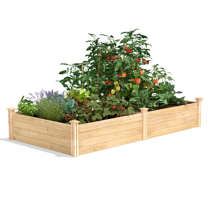 Katsuyoshi Wood Raised Garden Bed, 14" H x 96" W x 48" D, Cedar