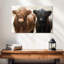 Brampt Hairy Highland Cows-106322890