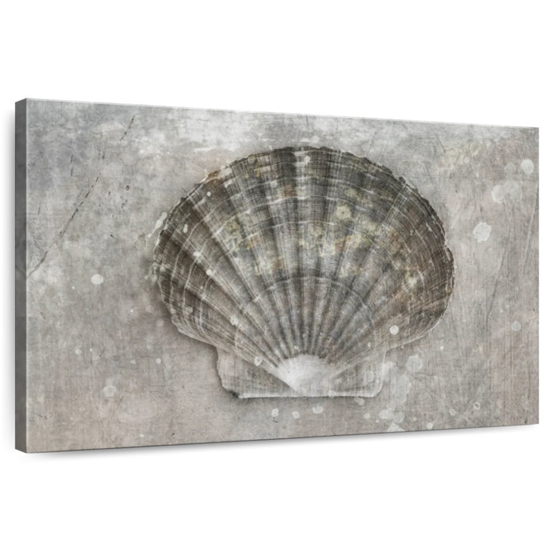 Aletra BW Scallop Seashell, 20" H x 30" W
