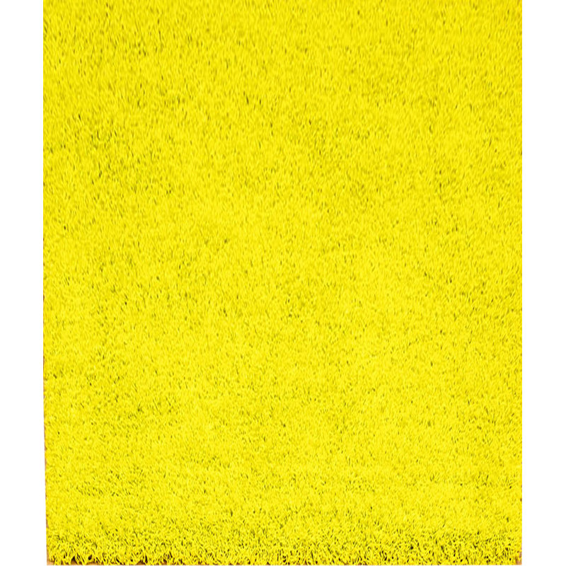 Alissya Shag 120cm X 160cm Area Rug