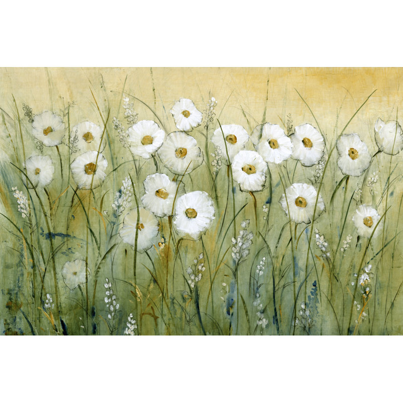 Daisy Spring I - Painting, 30 cm H x 46 cm W, Wrapped Canvas