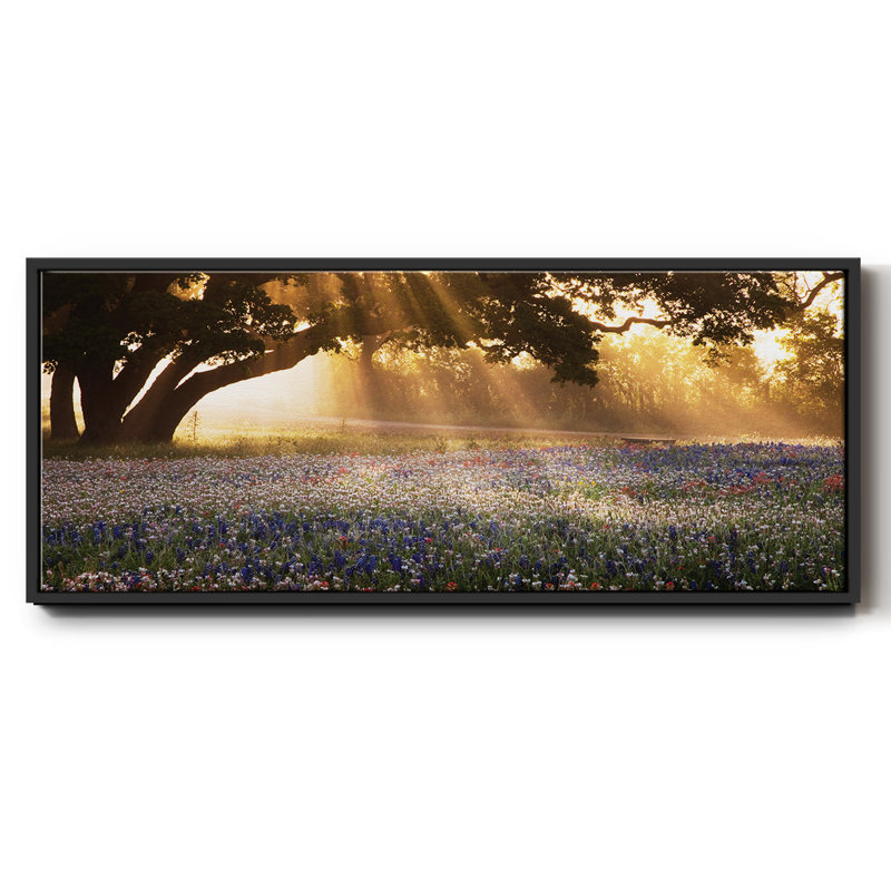 Morning Meadow - toile encadrée, H 24 po x l 60 po