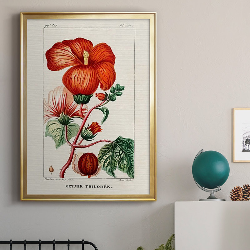 Turpin Tropical Botanicals VII, reproduction d'art encadrée, Encadrement doré, H 42,5 po x l 30,5 po x P 1 po