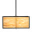 4 - Light Pendant