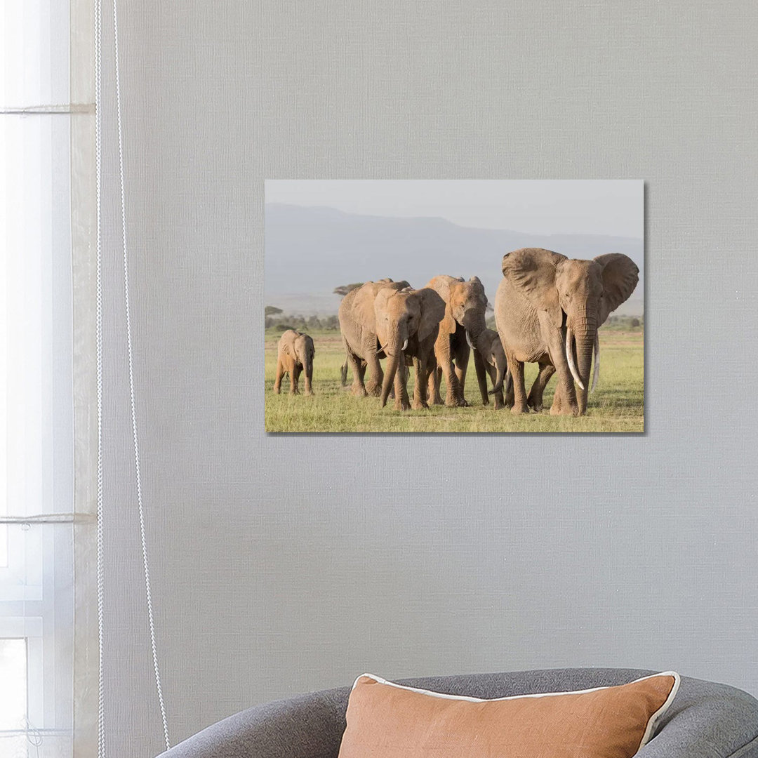 Africa, Kenya, Amboseli National Park. Elephants On The March. by Jaynes Gallery - Wrapped Canvas Print