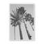 «Pink Palms II BW» par Deborah Revell, reproduction d'art-2048214517-2048214508