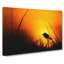 Bird in the Sunset - Wrapped Canvas-55370401