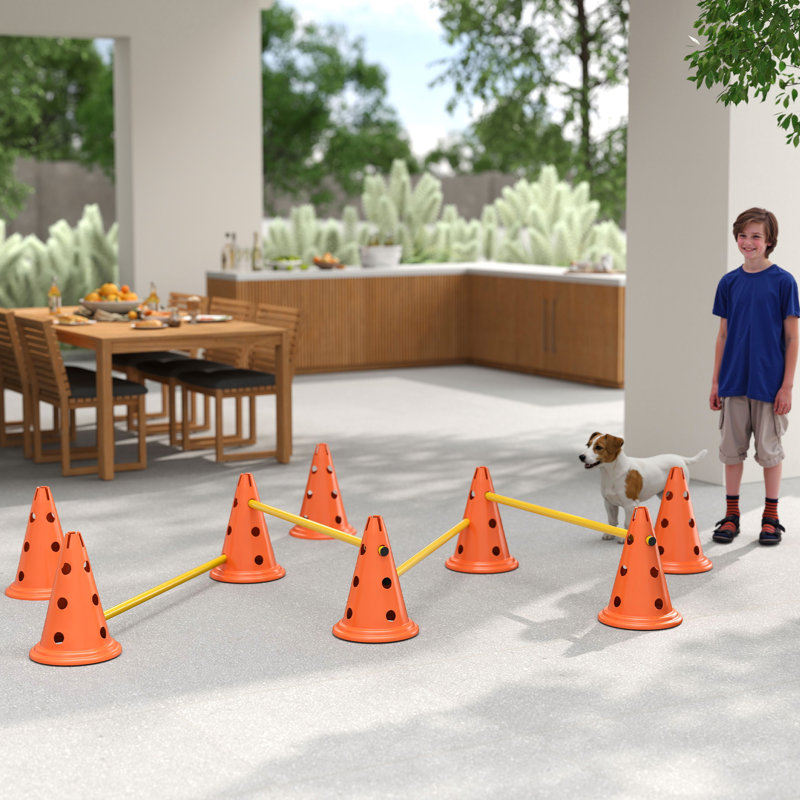 30cm H Plastic Dog Agility, Orange