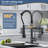 AlenArtWater Pull Down Kitchen Faucet
