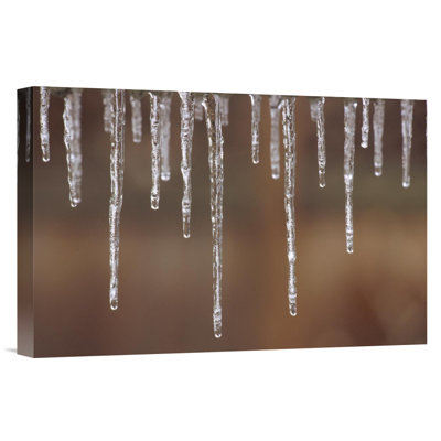 " Single Strand Of Icicles Melting "