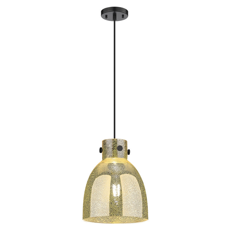 Luminaire suspendu à 1 lumière Badgett, Noir mat