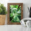 Green Tropical Succulent II - reproduction d'un seul cadre photo-446726541-446726531