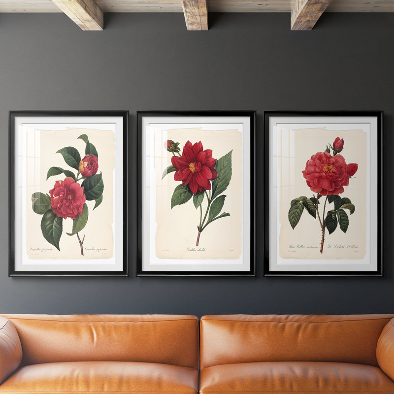 Red Botanical I - reproduction encadrée sur mesure de qualité supérieure mate - 3 pièces, Noir, H 21 po x l 30 po