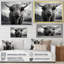 Portrait de yaks noir et blanc IV encadré sur toile-92009669-92009671