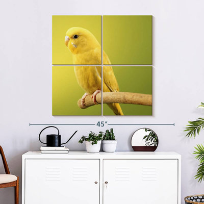 Brampt Perched Yellow Parakeet