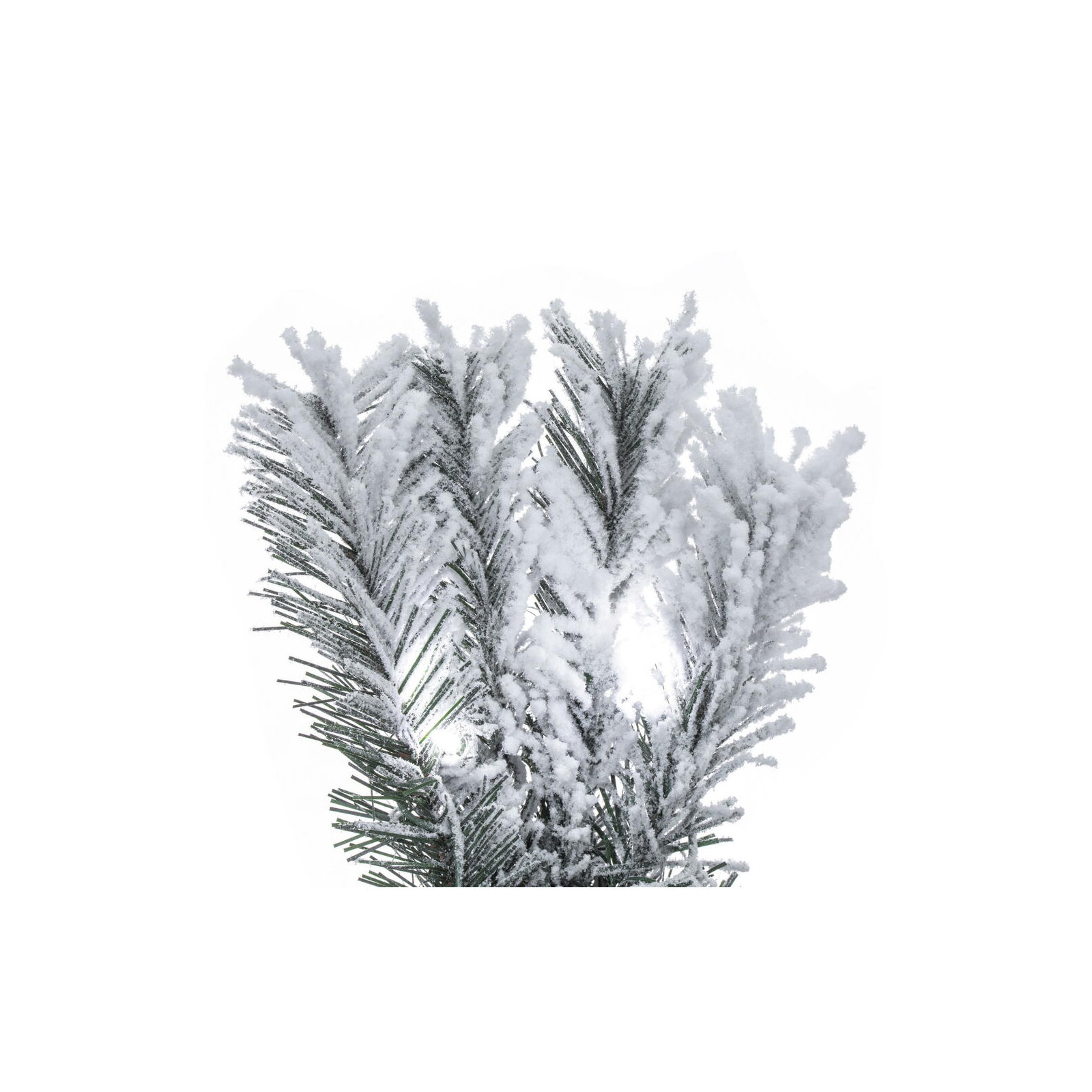 Pfeiffer 36' Lighted Artificial Pine Christmas Tree