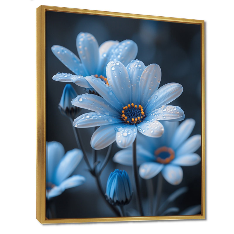 Fleurs de gouttes de pluie monochromes bleues et noires I - marguerites, Cadre flottant doré, H 12 po x l 20 po