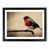 Black Frame selected