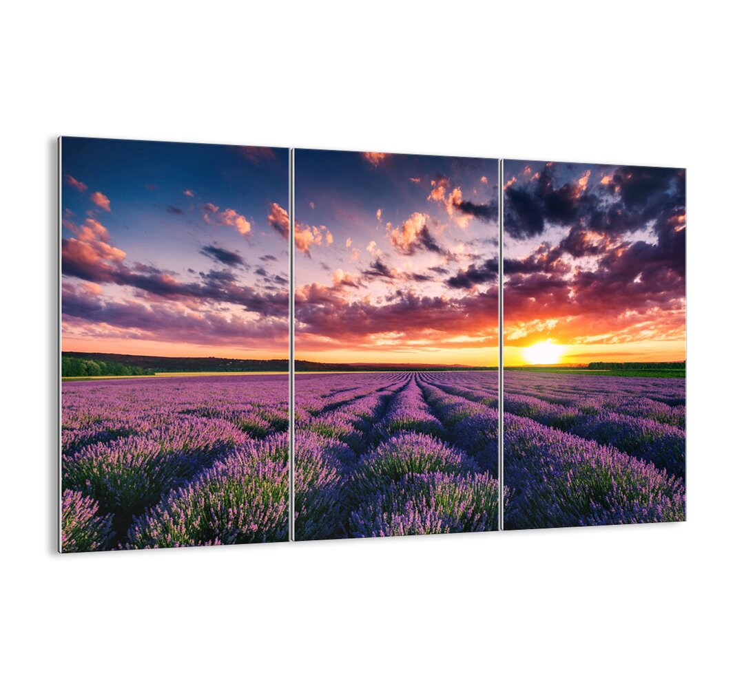 3-tlg. Glasbilder-Set - Fotografie „Lavender World”