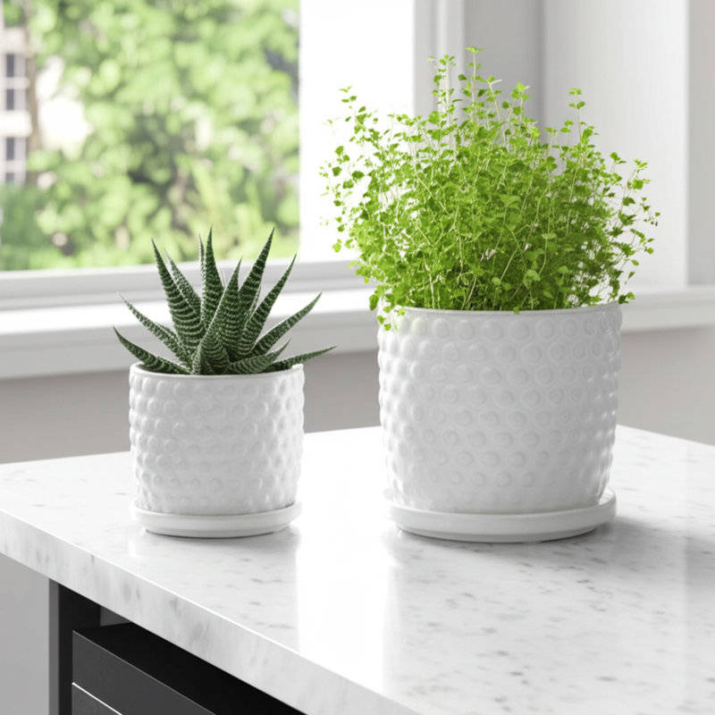 Embossed Ceramic Planters with Saucer For Indoor & Outdoor Use - Textured Flower Pots Home Accent for Living Room & Patio Décor - White