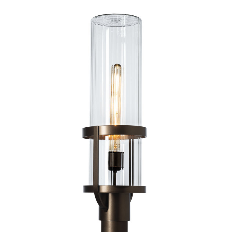Alcove 1-Light 22.4" H Hardwired Lantern Head, Transparent, Coastal Bronze