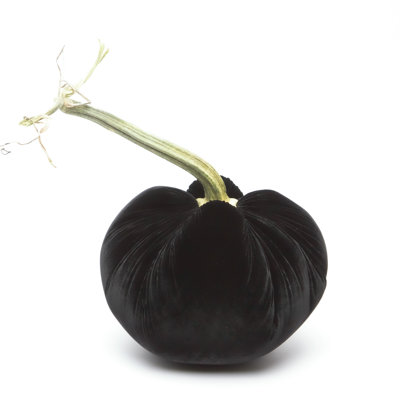 Ebony Silk Velvet Pumpkin
