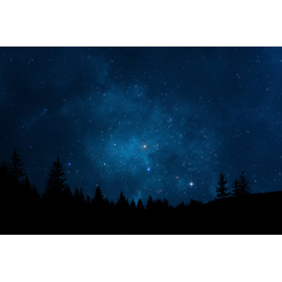 Night Sky Landscape - Wrapped Canvas Print
