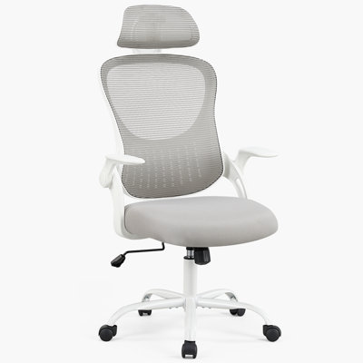 Riegelsville Mesh Office Task Chair with Headrest