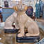 Porcelain Dog Figurines Pair