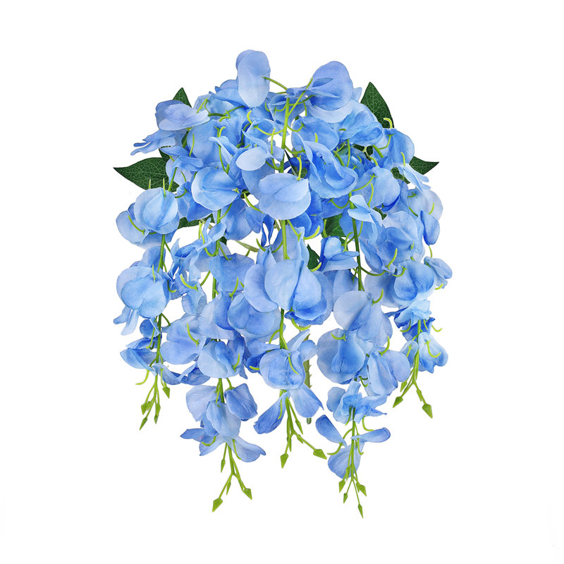 Buisson de glycine suspendu, Bleu