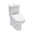 1.1/1.6 GPF Floor Mounted One-Piece Toilet Dual Flush Elongated Toilet(Seat Included)
