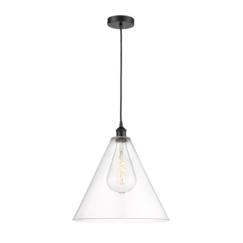 Luminaire suspendu conique à 1 lumière Bluford, H 13,75 po x l 12 po x P 12 po, Transparent, Noir mat