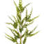 44'' Faux Plant