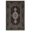 Oriental Area Rug