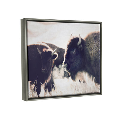Stupell Industries Bison Gazing in Nature Canvas Wall Art Design by Sisi and Seb -  aw-646_ffg_16x20