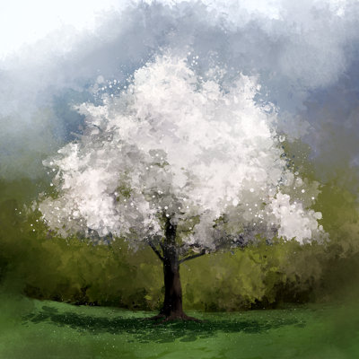 Marblehead Sour Cherry Tree by Archv - Wrapped Canvas Painting