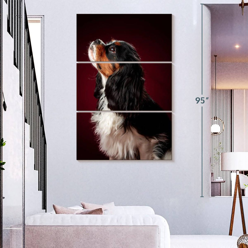 Chiot épagneul Brampt, H 74 po x l 48 po