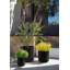 Demi Series Round Planter Set of 3-97707128