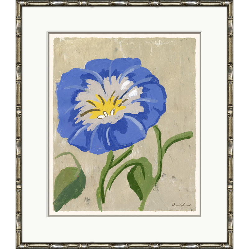 Morning Glory