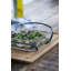 Grand Cru Square Lead-free Glass Baker