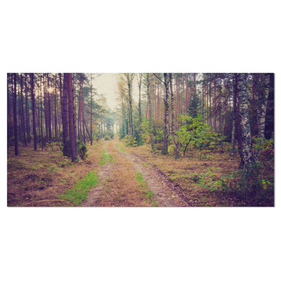«Straight Pathway in Thick Forest», reproduction de photo sur toile tendue