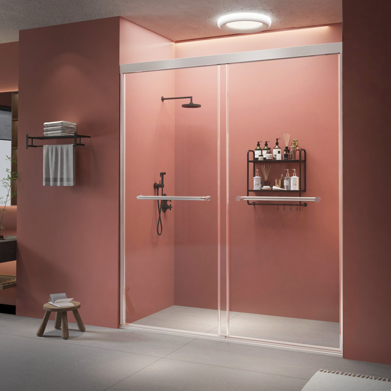51–54 in W x 72 in H Modern Double Sliding Shower Door,  1/4 in (6mm) Tempered Glass, Brushed Nickel Aluminum Frame